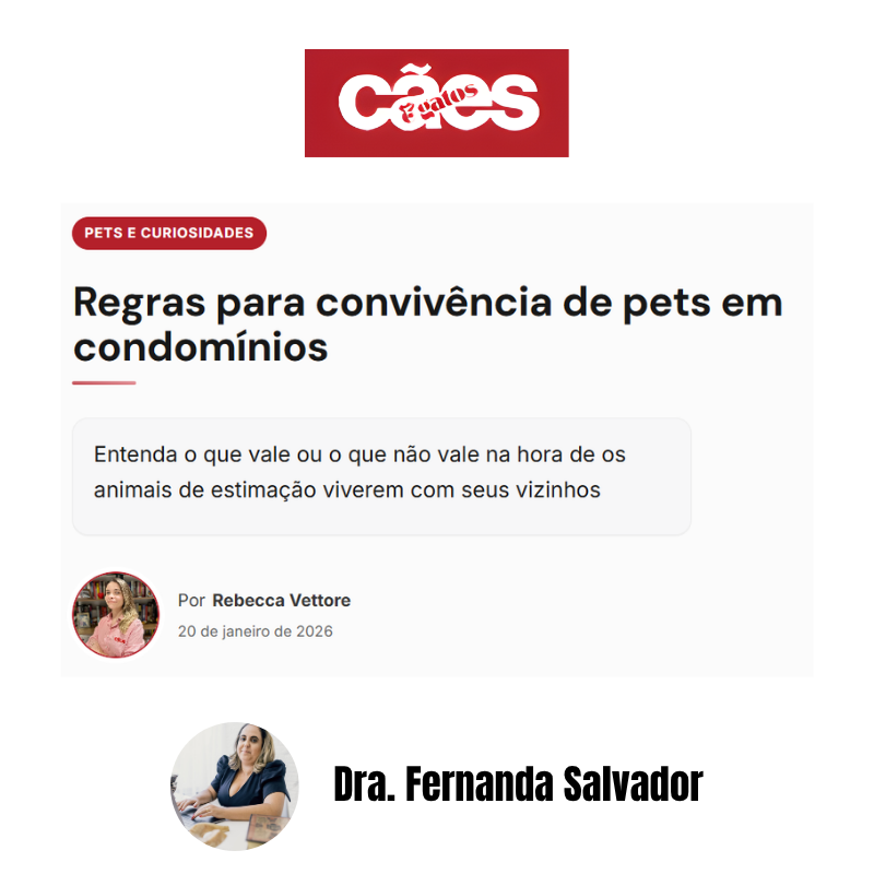 reportagem adv fernanda salvador cães e gatos
